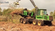 Latest Technology Harvest Big Tree Excavator Machine Working || Modern Technology & Human Future