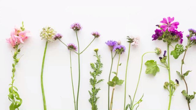 Printemps : qu’est-ce qu’un Équinoxe ?