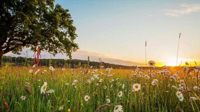 Météo été 2020 : Météo France donne ses prévisions pour cet été