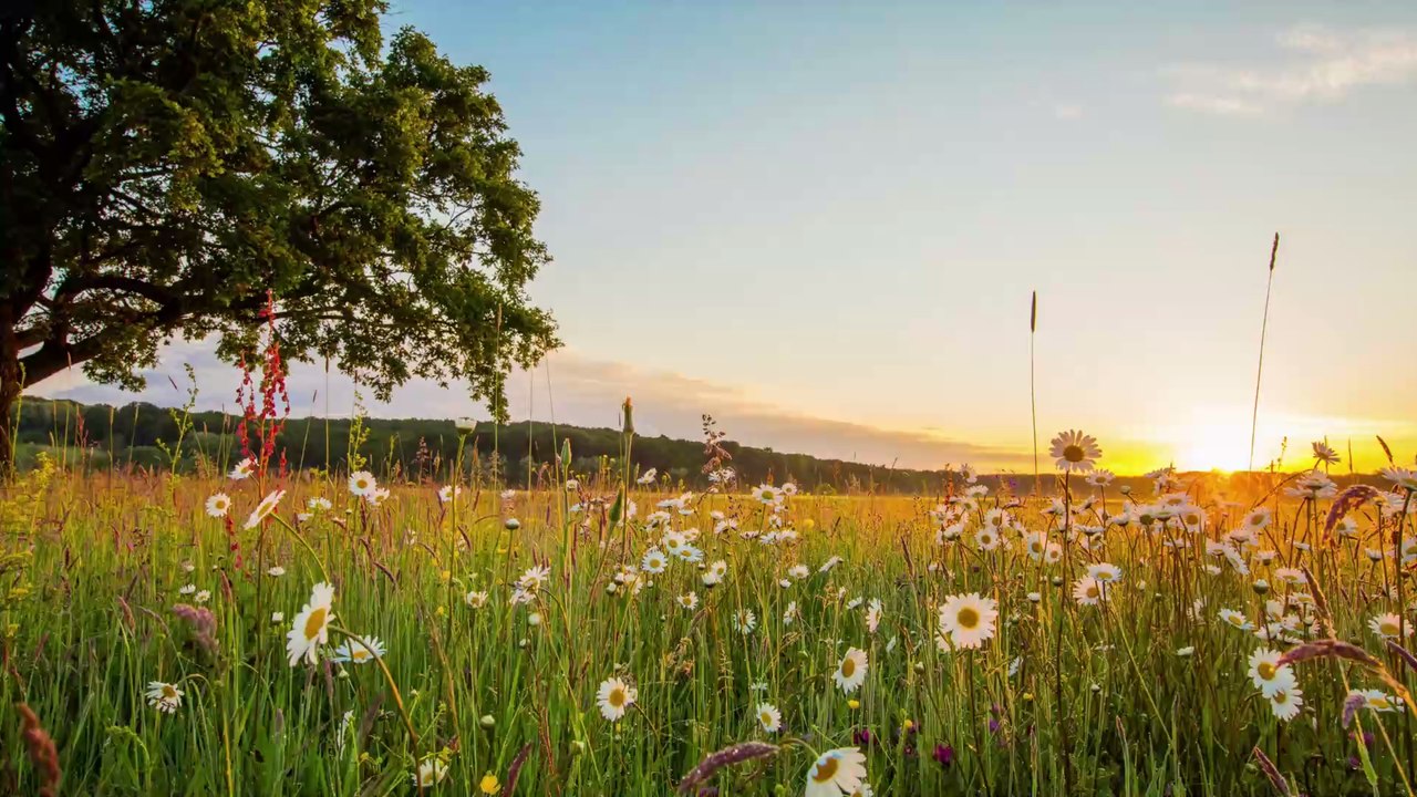 Météo été 2020 : Météo France donne ses prévisi...
