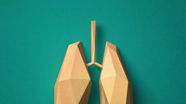 Mucoviscidose : quelle est cette maladie génétique dont souffrait Grégory Lemarchal ?