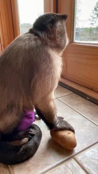 Dinner Time!!! Time for me to mash the taters!!! Gaitlyn Rae