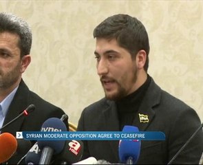 Syrian moderate opposition agree to ceasefire