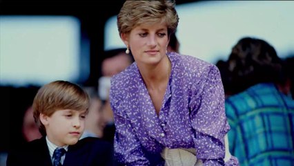 Lady Diana : sa robe léopard ultra tendance disponible à prix cassé