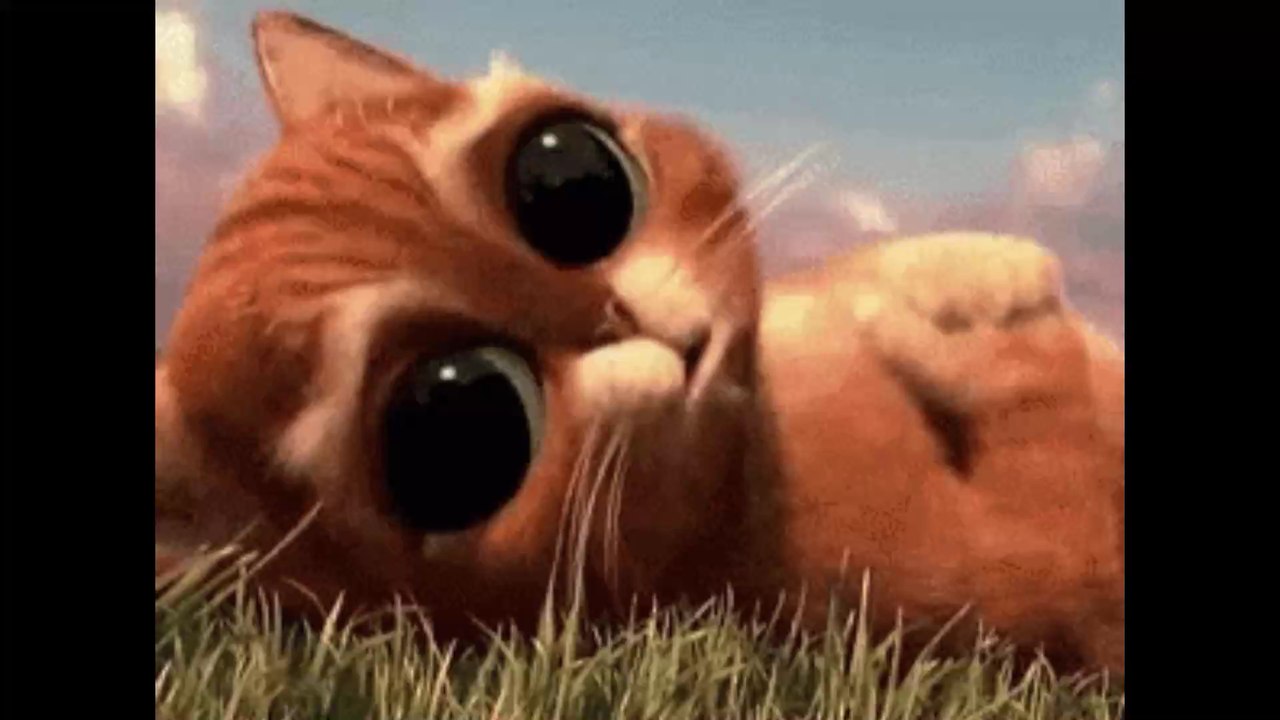 Hélène Ségara dévoile une photo d'elle au lit, en très bonne compagnie