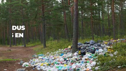 Carrefour : des centaines de produits du supermarché abandonnés dans la nature