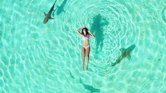CHOC : cette touriste plonge dans l'eau aux Bahamas et tombe nez à nez avec un requin (VIDÉO)