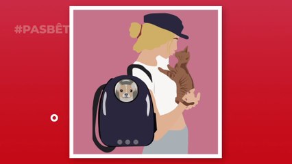 Chien : à quelle fréquence et combien de temps faut-il le promener ?