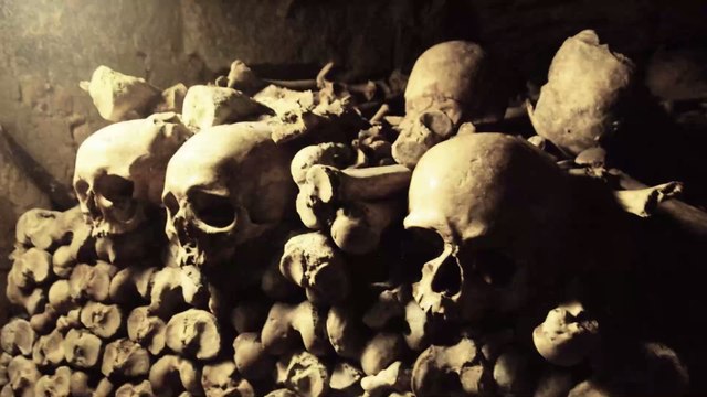 Maladie : un cas suspect de peste bubonique découvert