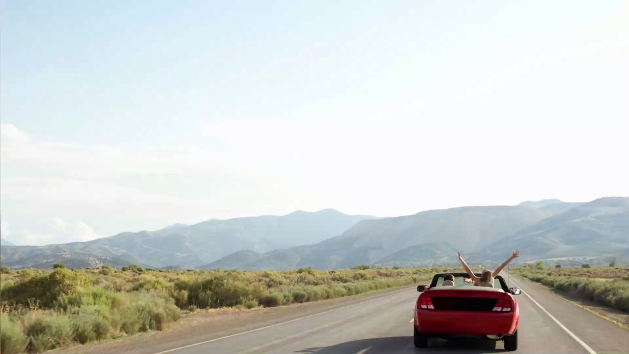 Un homme transporte un taureau dans sa Peugeot 206 CC en Camargue