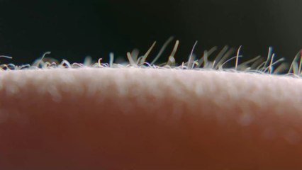 Sexo : “L’union de la pie”, la nouvelle position du kamasutra qui séduit de plus en plus