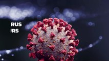 SADS-CoV : ce nouveau Coronavirus transmis par le porc serait dangereux pour l'homme