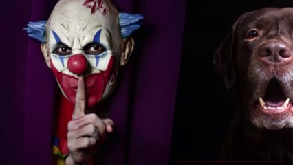 Illusion d'optique, cette photo rend fous les internautes