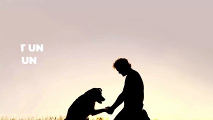 Ces hommes sauvent un chien de la mort et font une incroyable découverte !