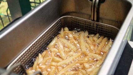 ACTION : cette friteuse à moins de 20 euros embellira votre été !