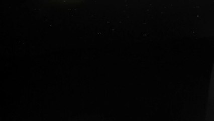 Idées recettes : que faire avec des endives ?