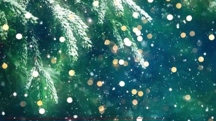 Coronavirus : Les fêtes de fin d'années pourraient-elles être reportées ? Cette infectiologue l'affirme