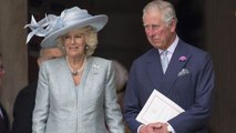 Lady Diana : Camilla Parker Bowles a-t-elle œuvré en secret pour discréditer sa rivale ?