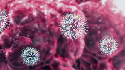 Covid-19 : l'OMS estime la date de fin de l'épidémie