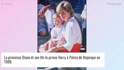 Lady Diana : Un magnifique portrait de la princesse dévoilé... 34 ans plus tard !