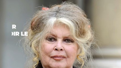 Brigitte Bardot : le tournage d'une série qui lui est consacré a débuté, on vous dévoile tout ce qu'il faut savoir