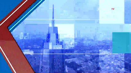 Delapan Pekerja Palapa Ring Tewas Dibunuh KKB Di Puncak Papua