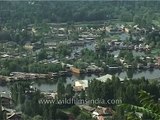 Aerial View of Srinagar, Kashmir, India