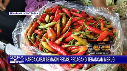 Kini Harga Cabai Ikut Naik, Omzet Pedagang Menurun