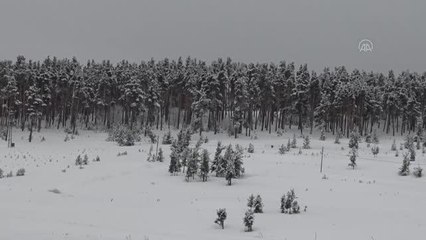Sarıkamış ve Susuz ilçelerinde kar nedeniyle eğitime ara verildi