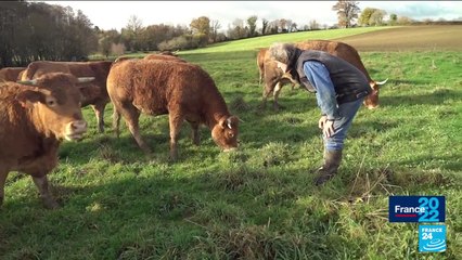 Famille Auvillain : Agriculteurs bio, de père en fille