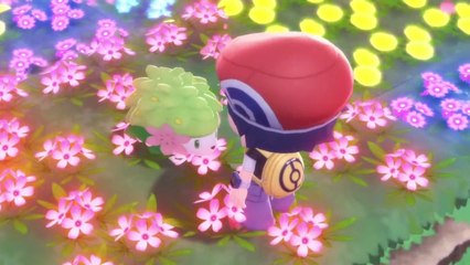 Conseguir a Shaymin Pokemon Perla Reluciente