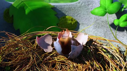 Richard, la cigüeña Tráiler