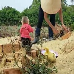 Sweet friendship between Baby Monkey & Baby Duck ❤️