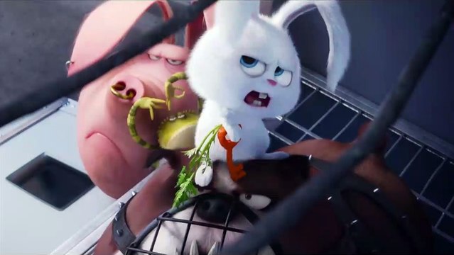 Pets - A Vida Secreta dos Bichos Clipe (3) Original - The Flushed Pets