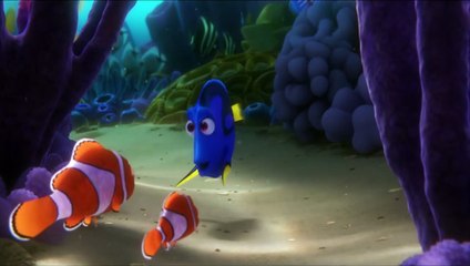 Procurando Dory Clipe (4) Original - Jóia de Morro Bay, Califórnia