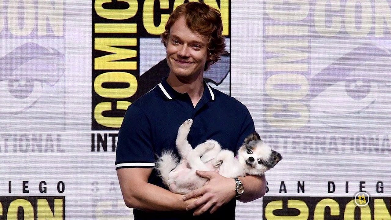 10 Comic Con 2017 Series TAG