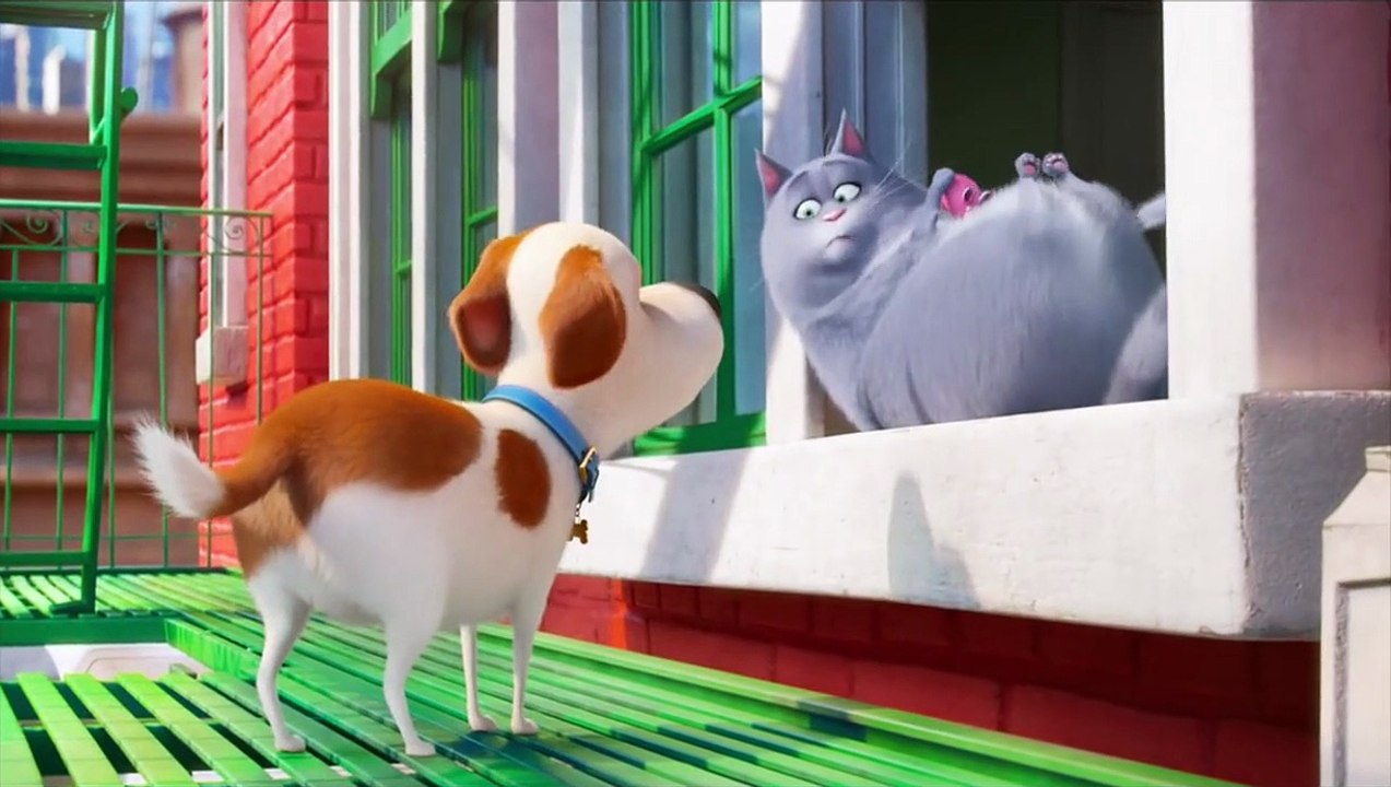 Pets - A Vida Secreta dos Bichos Clipe (5) Original - "New dog"