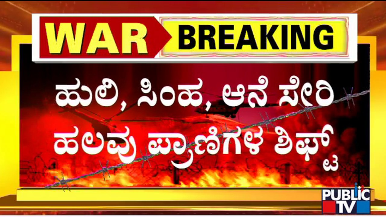 Ukraine Zoo Animals Evacuated to Poland | Russia-Ukraine