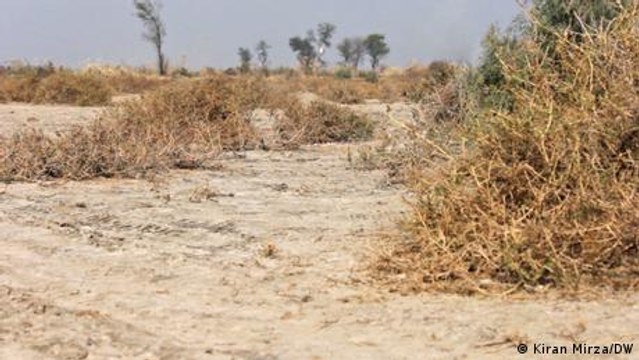Pakistan: The graveyard of femicide victims