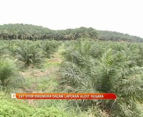 247 syor dikemuka dalam Laporan Audit Negara