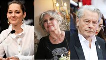 FEMME ACTUELLE - Marion Cotillard, Brigitte Bardot, Alain Delon : ces stars qui soutiennent un candidat à la présidentielle 2022