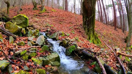 WATERFALLS & SOOTHING SOUNDS