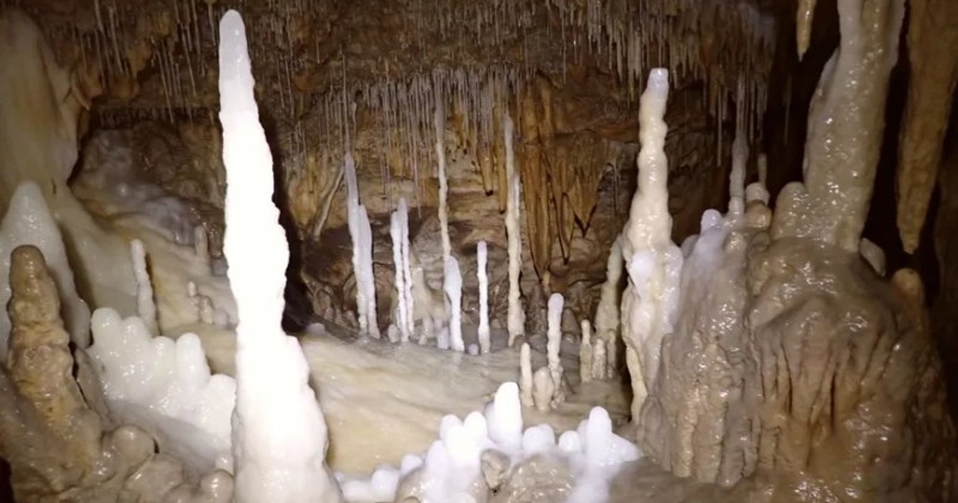 Une grotte de l'âge du bronze contenant des trésors archéologiques en parfait état a été découverte en Charente