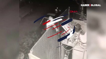 Böyle canilik görülmedi! Kulübede bağlı köpeğe ateş etti