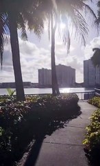 Marcelo Iripino de paseo con Rocco por Miami