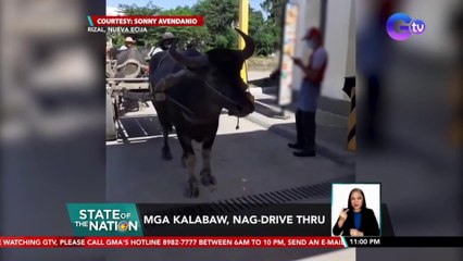 Mga kalabaw, nag-drive thru | SONA