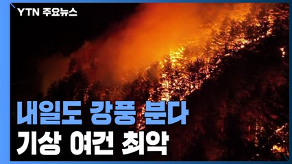 건조 특보·강풍 특보 동시 발령...최악의 조건 / YTN