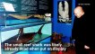Urban Explorers Break Into Abandoned Aquarium, Find Mummified Shark and Other Horrors