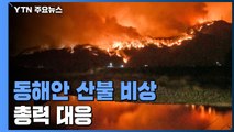 동해안 산불 비상...'야간 체제' 전환해 총력 대응 / YTN