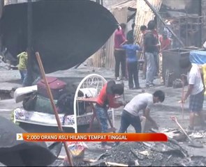 2,000 Orang Asli hilang tempat tinggal